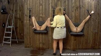  快来选择你最爱的洞 